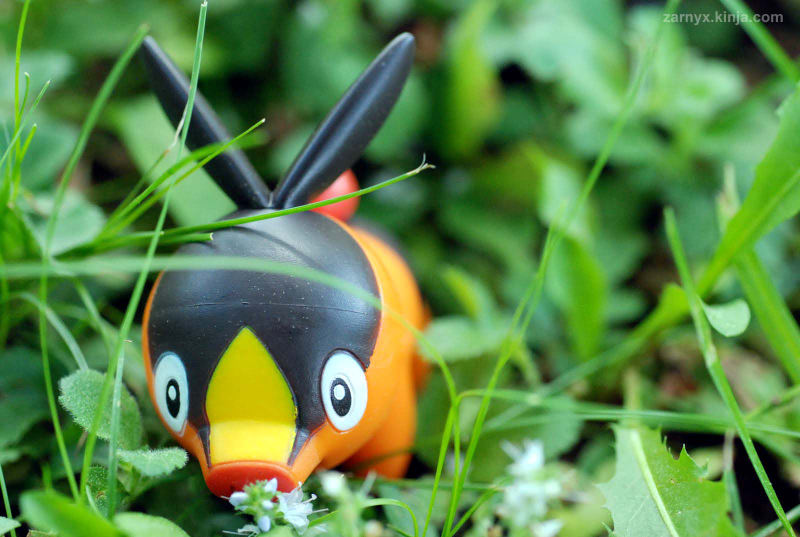 Illustration for article titled Pokémon (OH) Snap!: Hiding in the Tall Grass...(Part I)